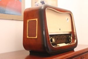 Hornyphon Rex 664A 02