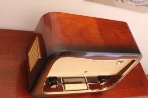 Hornyphon Rex 664A 03