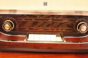 Hornyphon Rex 664A 05