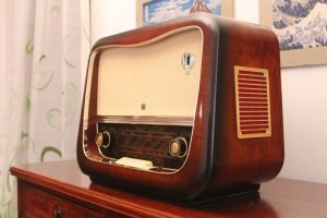 Hornyphon Rex 664A 07