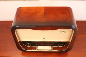 Hornyphon Rex 664A 10