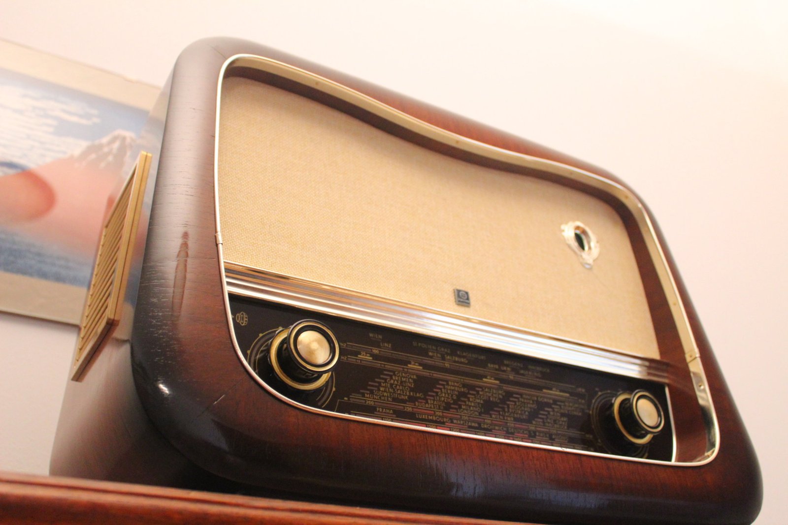 Hornyphon Rex 664A 13