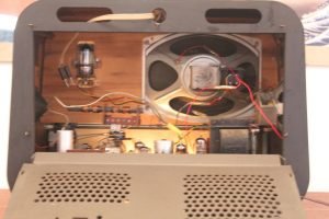 Hornyphon Rex 664A 17