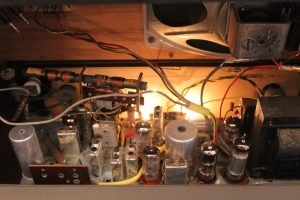 Hornyphon Rex 664A 18