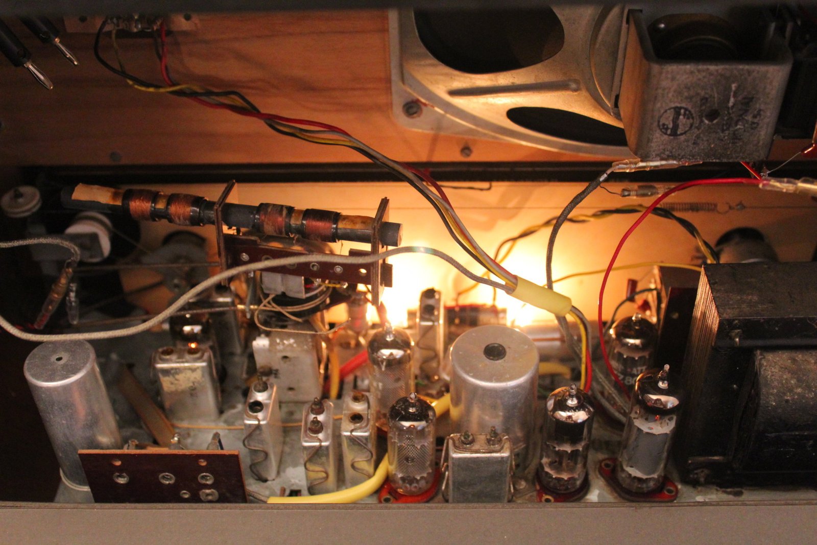 Hornyphon Rex 664A 18